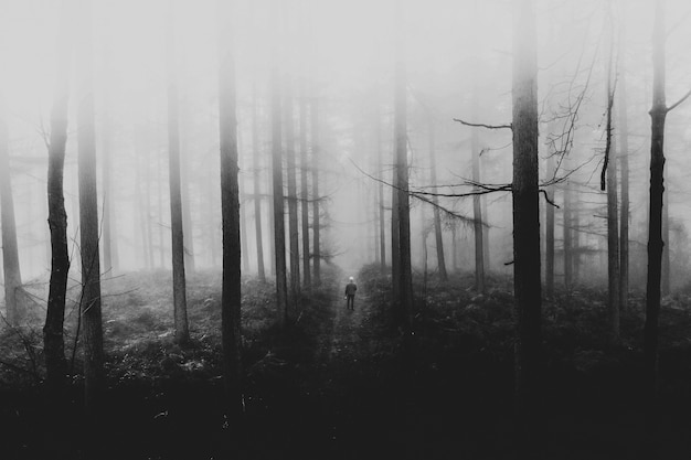 《热血传奇》战士、法师、道士英雄血量是多少？